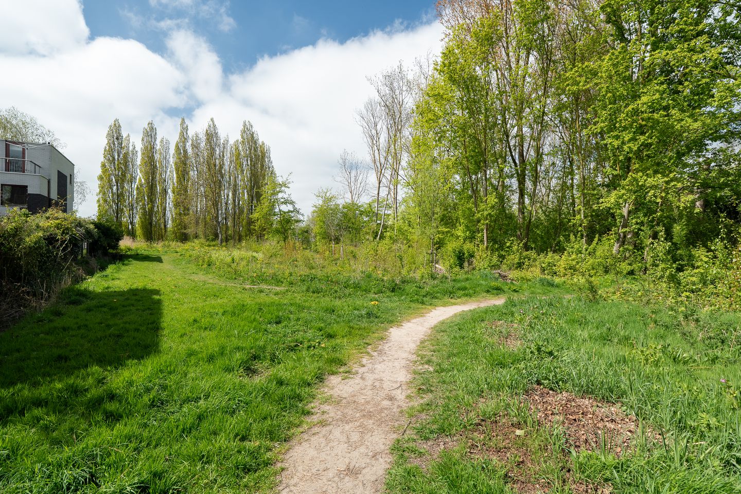 Photo 59 of Het Roege Bos 33
