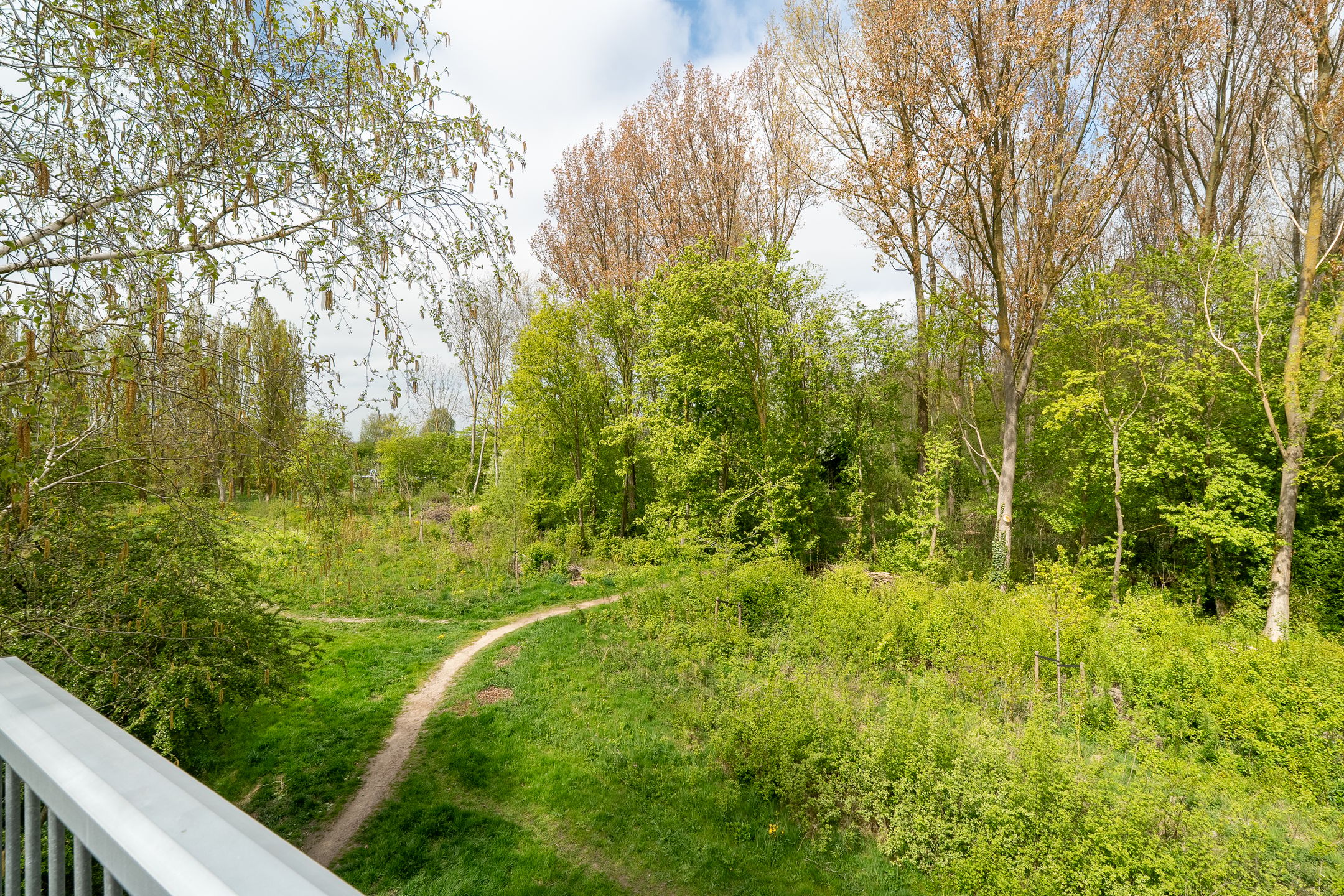 Photo 6 of Het Roege Bos 33