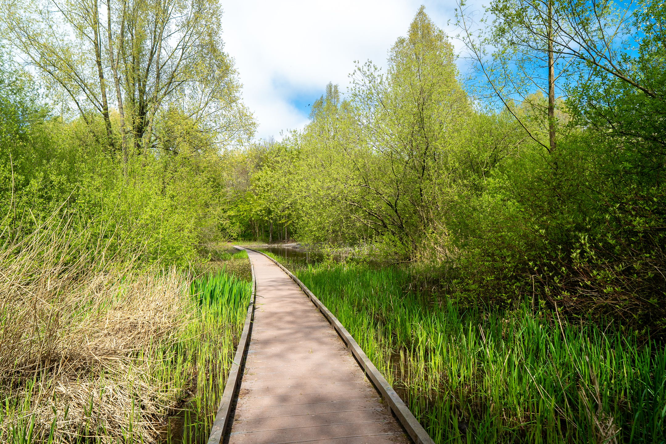 Photo 60 of Het Roege Bos 33