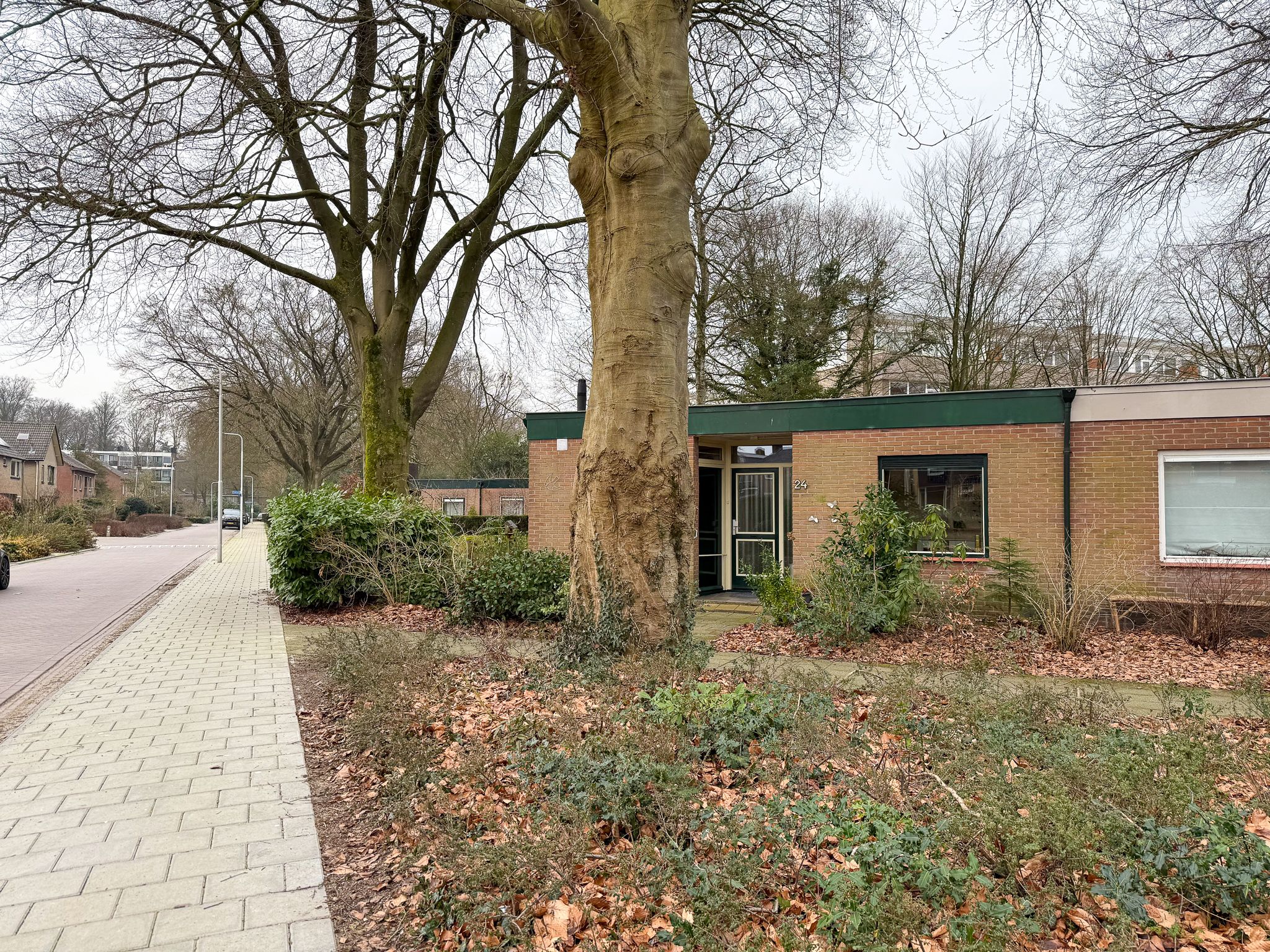 Schoonoordselaan 24 