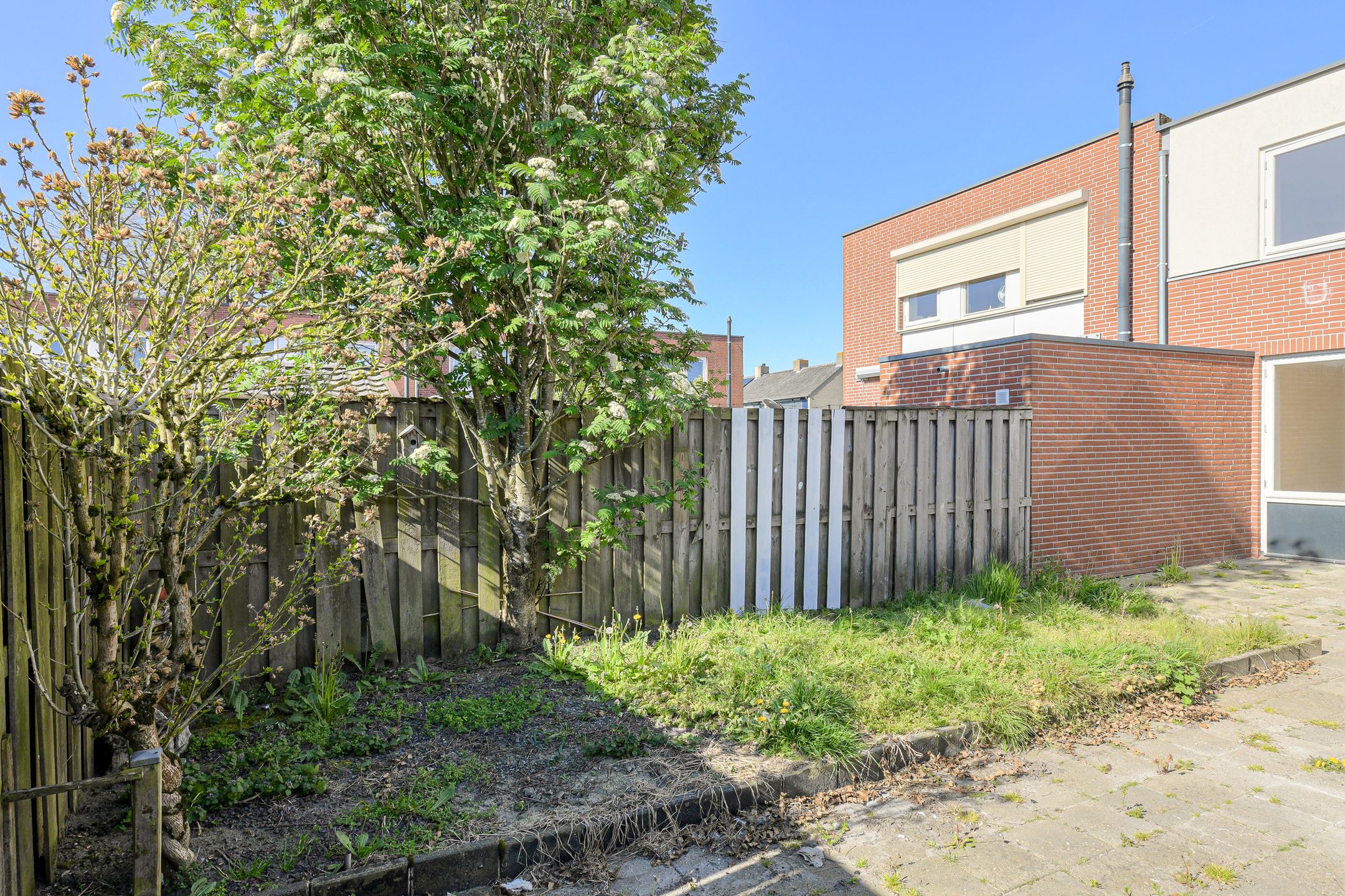 Photo 33 of Brederostraat 17
