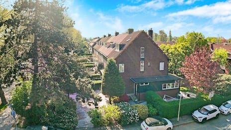 Jeroen Boschlaan thumbnail