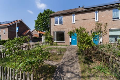 Bosbesstraat thumbnail