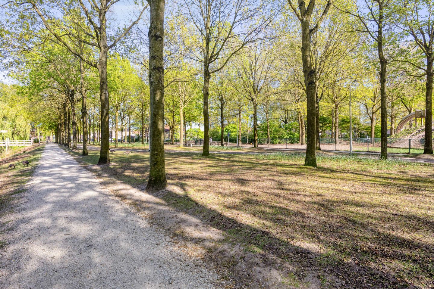 Foto 40 van Grevenbichtstraat 93