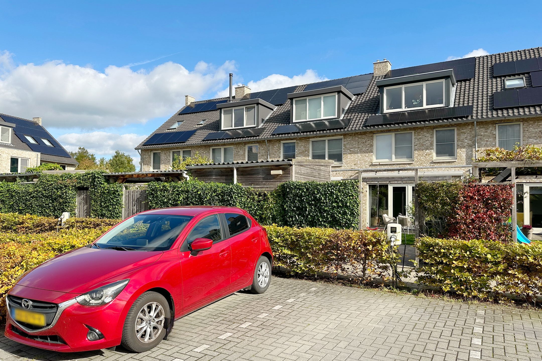 Photo 54 of Pioenroos 7