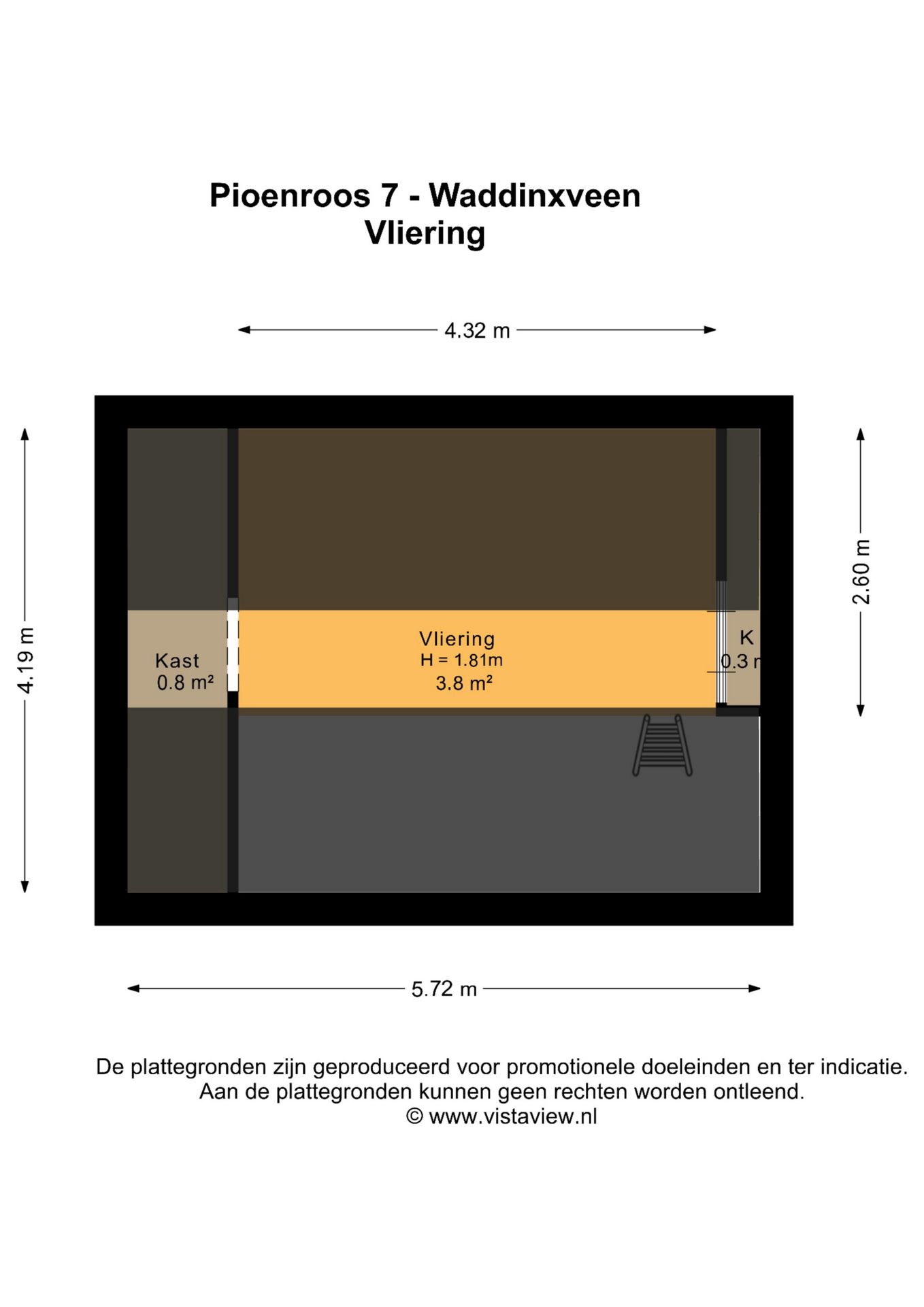 Photo 63 of Pioenroos 7