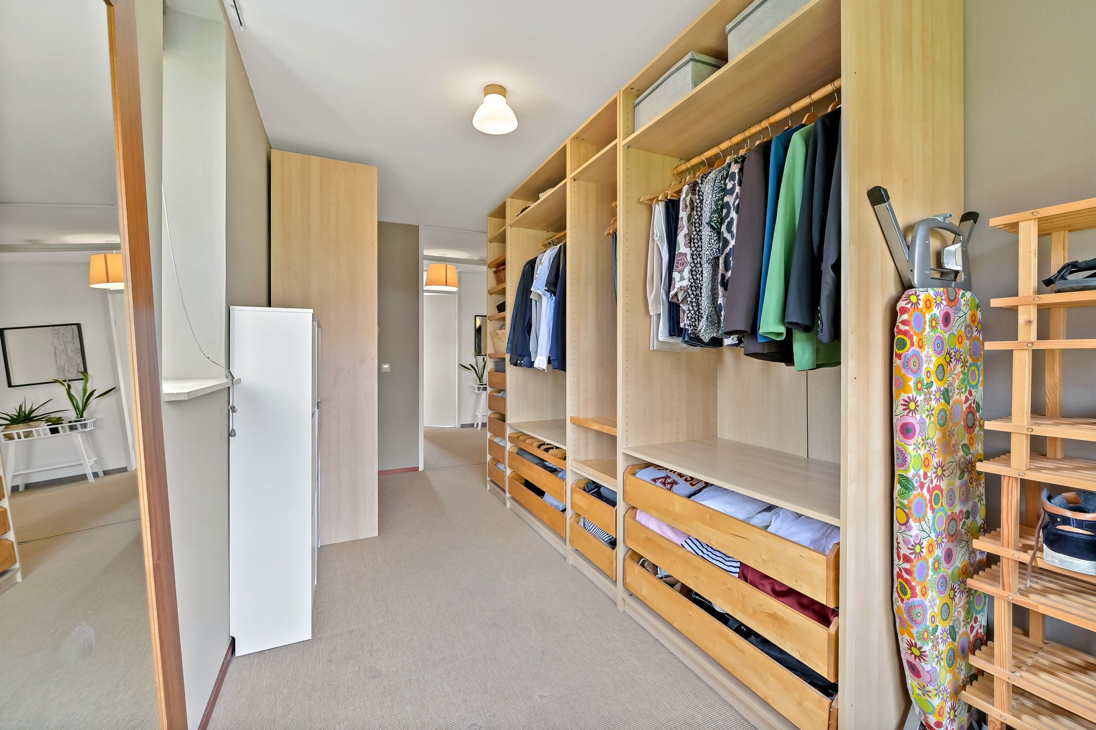 Foto 45 van Blauw Glidkruid 63