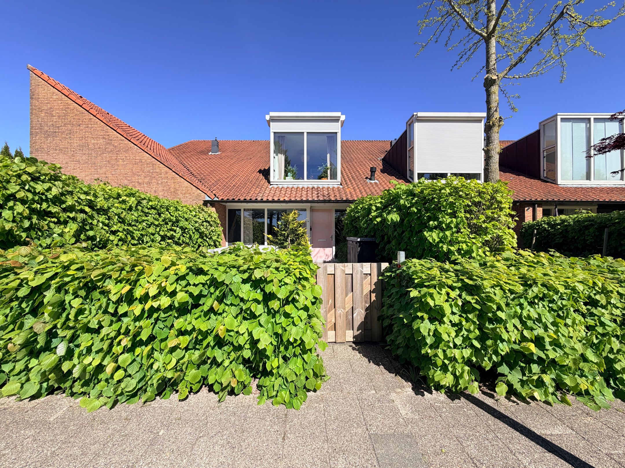 Photo 9 of Rietlaan 116