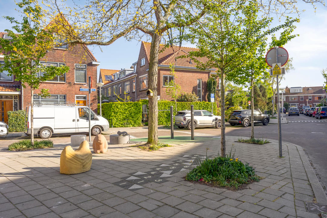 Foto 46 van De Vriesstraat 46