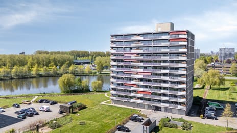 Aalscholversingel thumbnail
