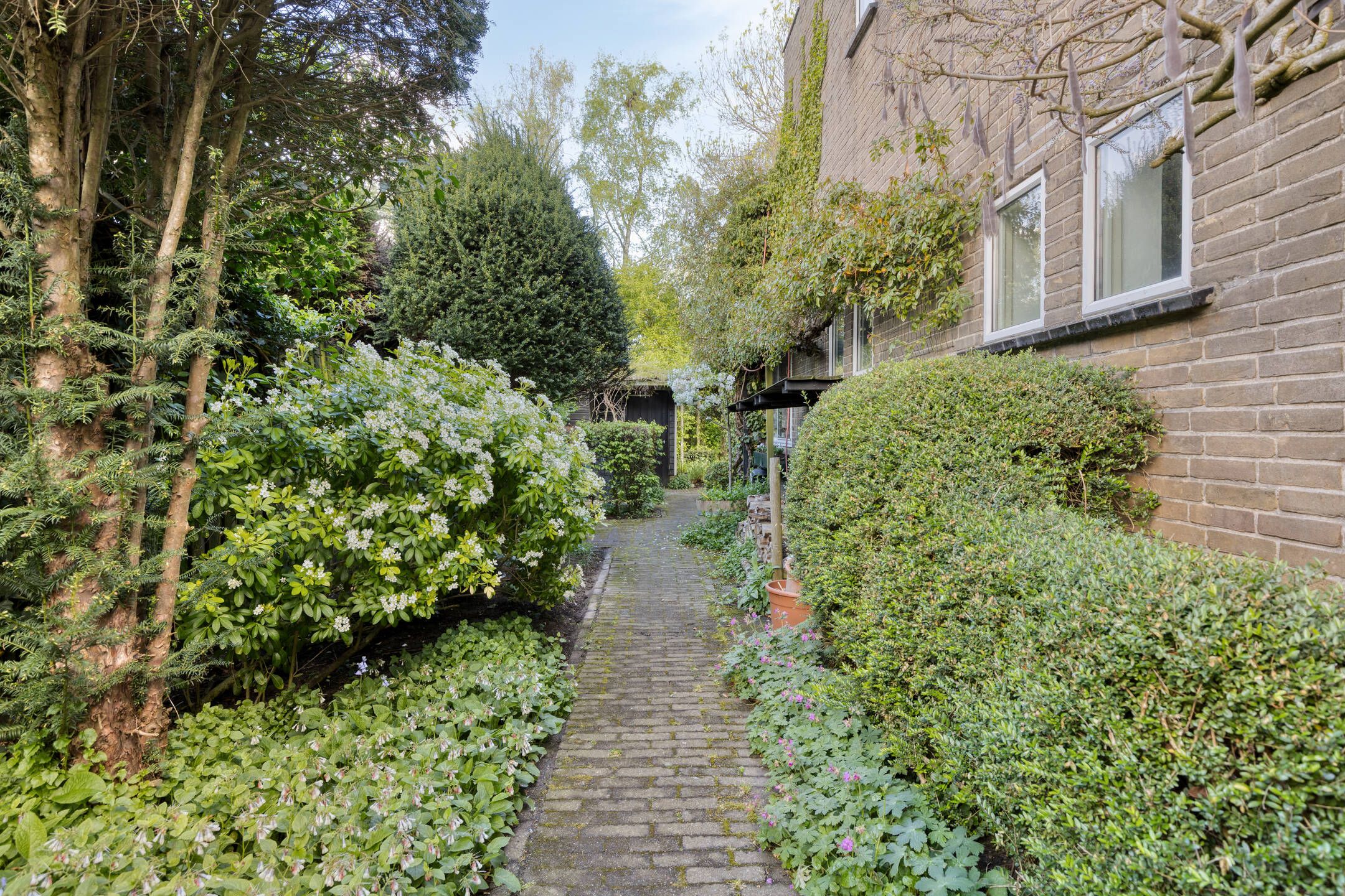 Foto 42 van Park de Griffioen 18