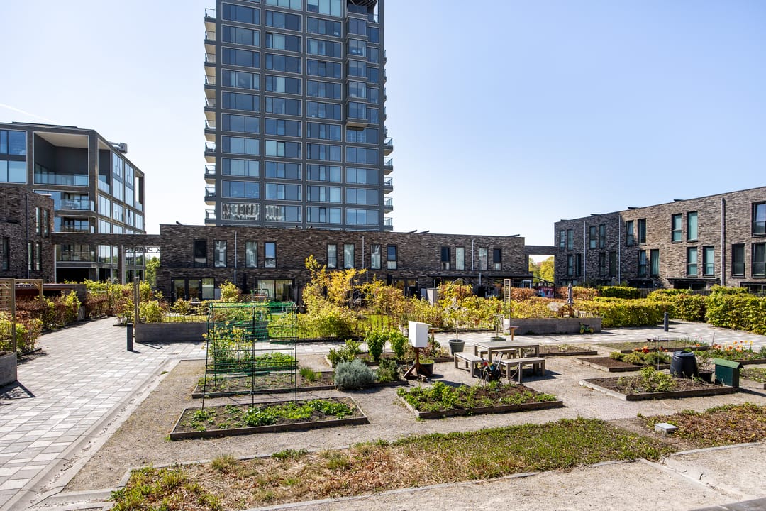 Foto 28 van Binckhorstlaan 313-N