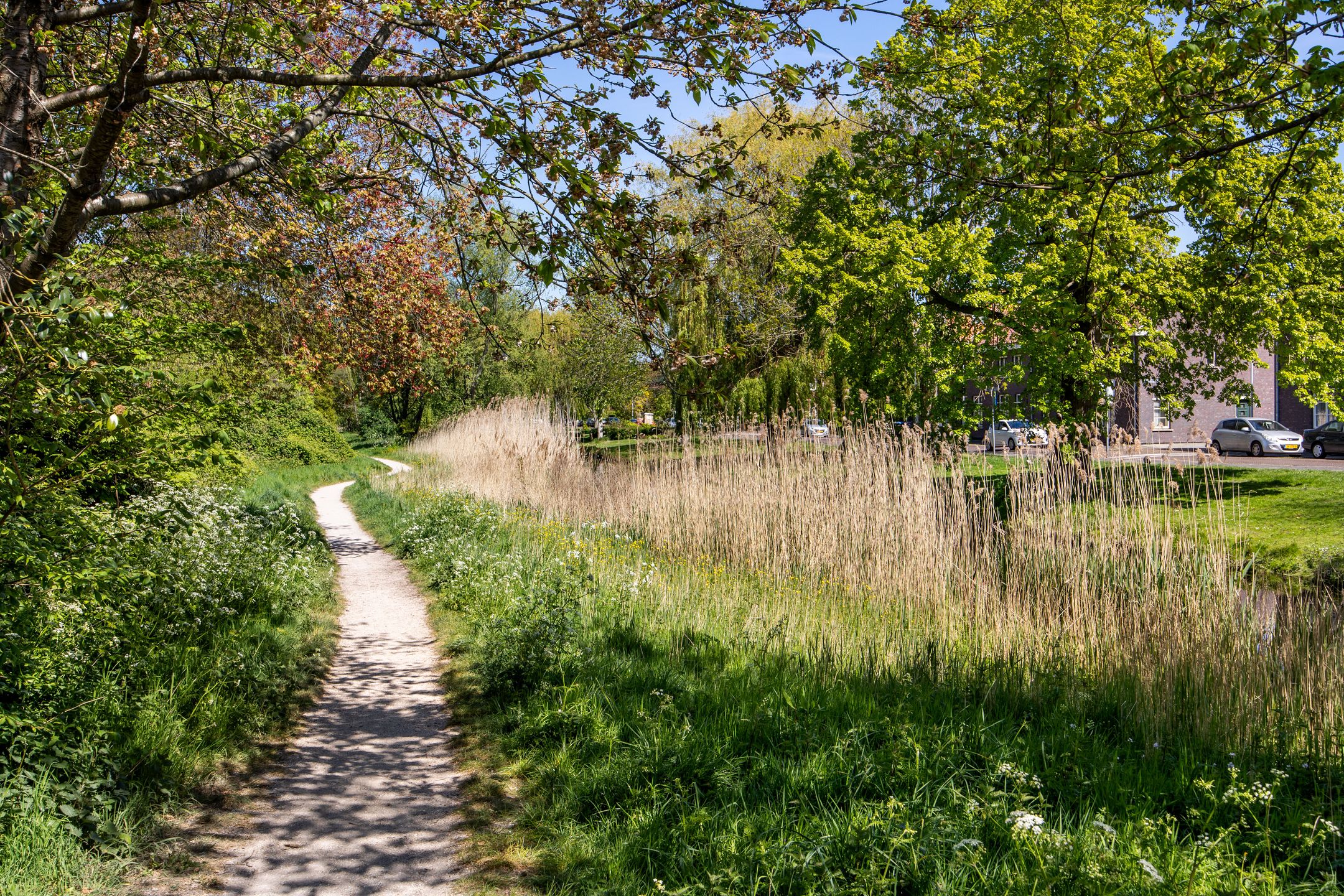 Foto 30 van Binckhorstlaan 313-N