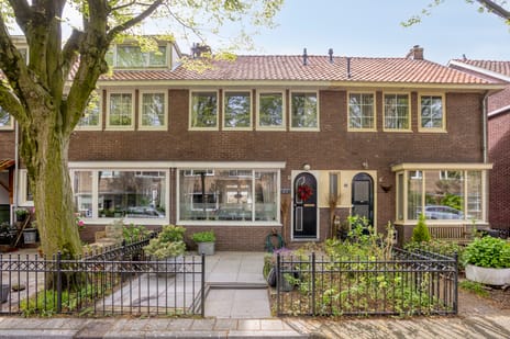 Pieter Pauwstraat thumbnail