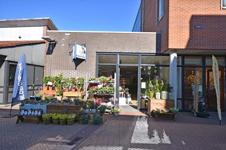 Bekijk foto's