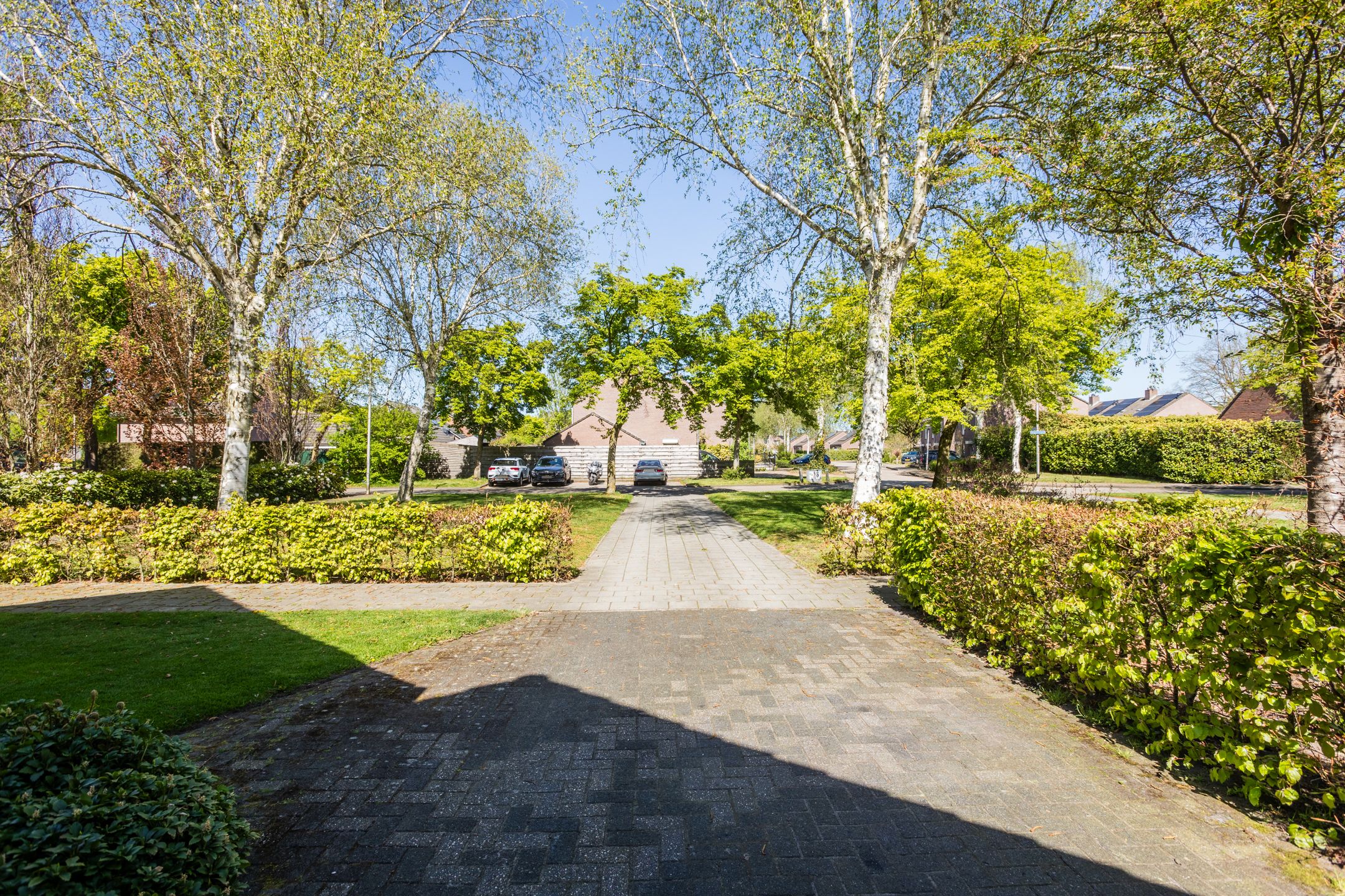 Photo 6 of Magnolialaan 35