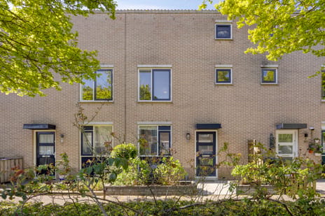 Anna Blamanstraat thumbnail