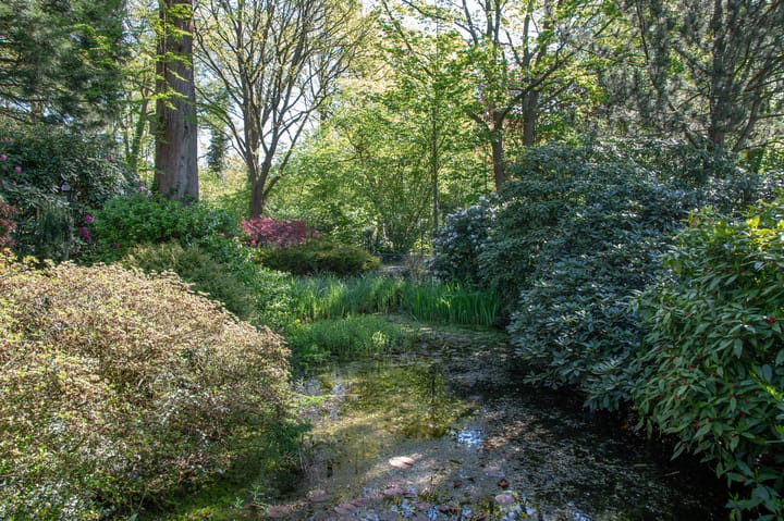 Foto 4 van Veldweg 19