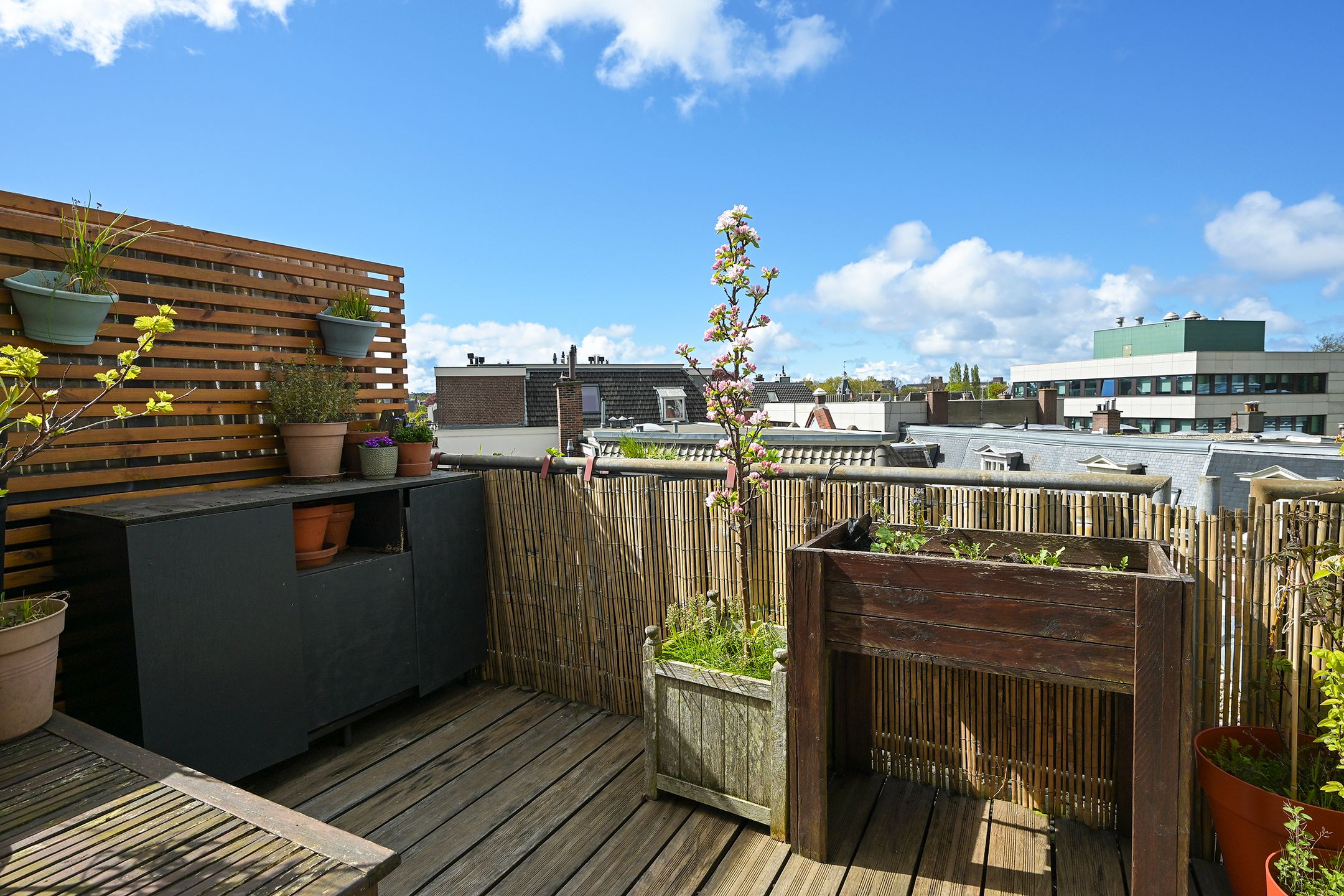 Photo 24 of 1e Sweelinckstraat 13-D