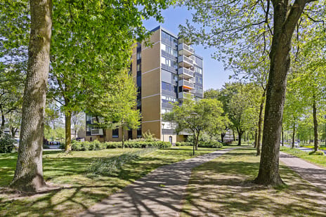 Johannes Poststraat thumbnail
