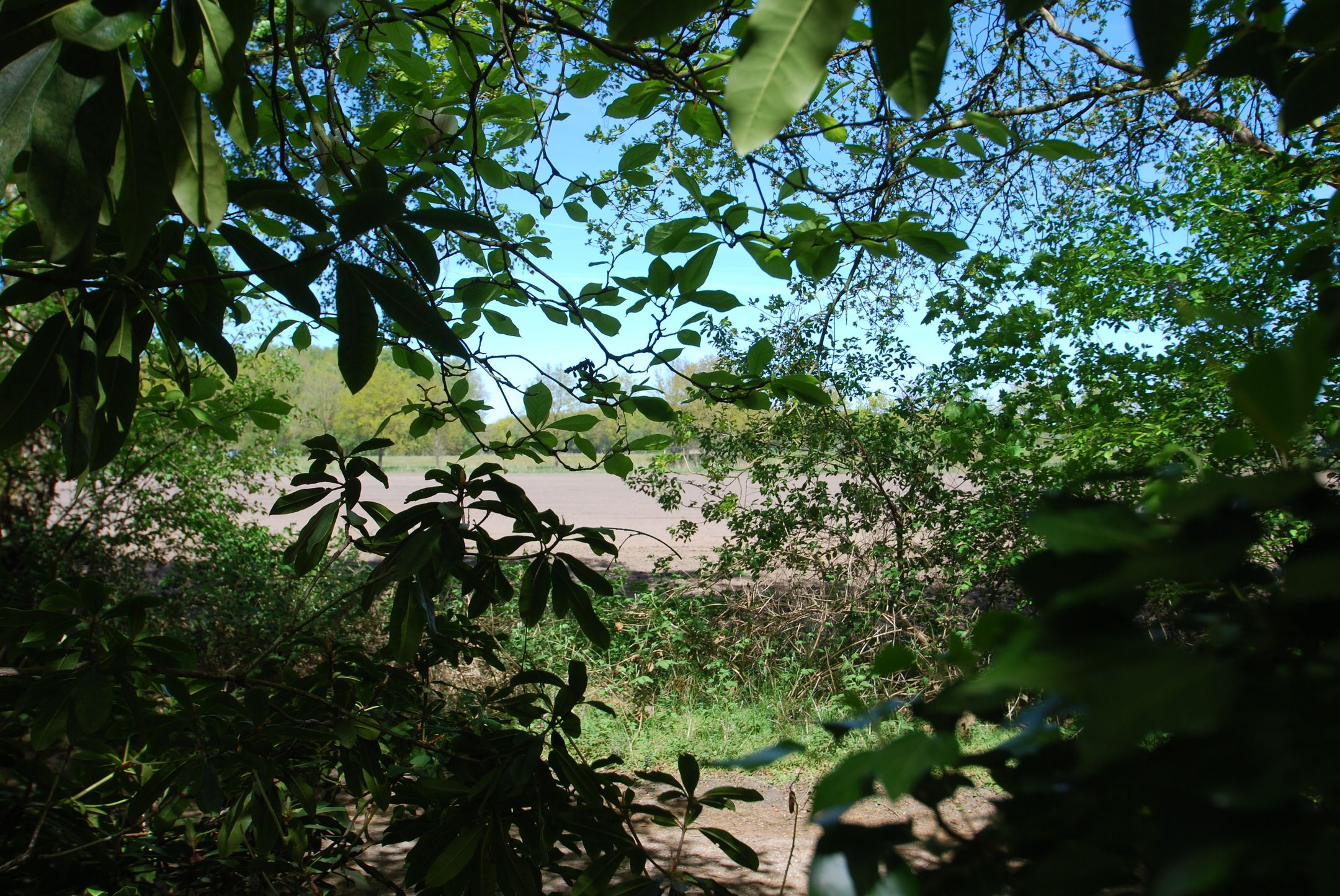 Photo 42 of Vilsterseweg 1-A008