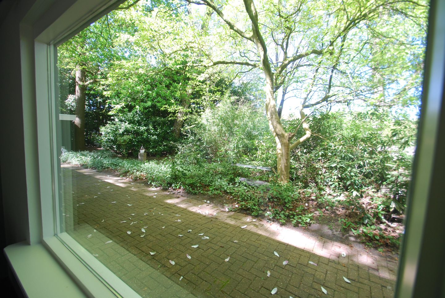 Photo 10 of Vilsterseweg 1-A008