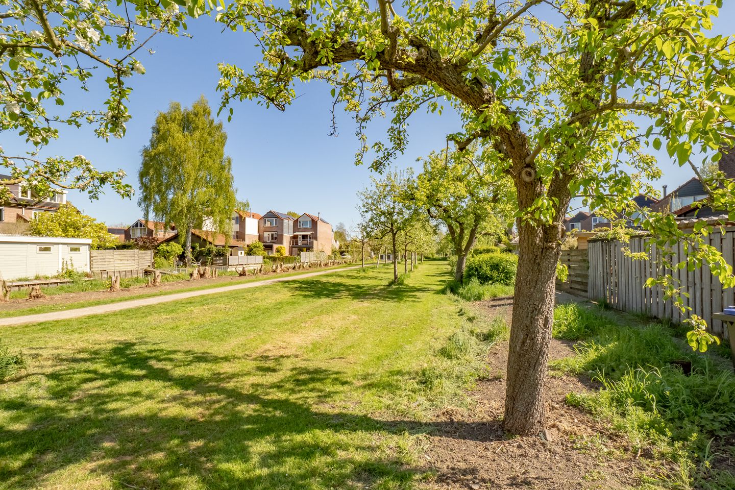 Foto 49 van Dissel 57