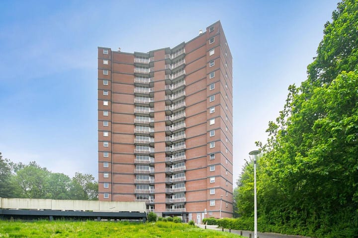 Drieoortsput 56