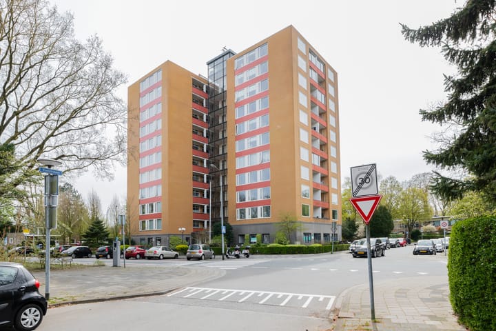 Foto 4 van Goeman Borgesiuslaan 53