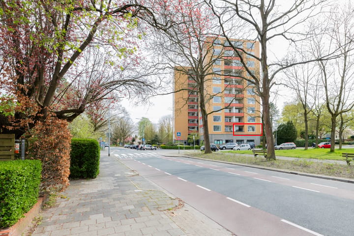 Foto 5 van Goeman Borgesiuslaan 53