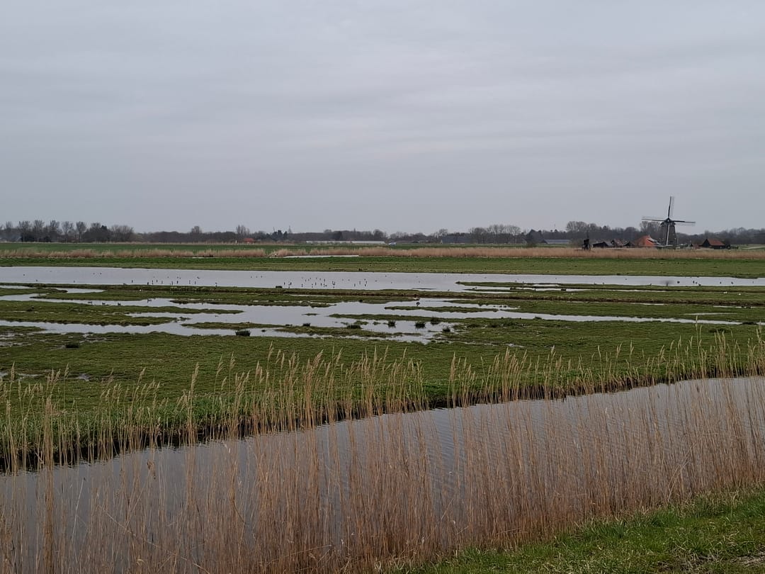 Photo 8 of Ringdijk 18-AR