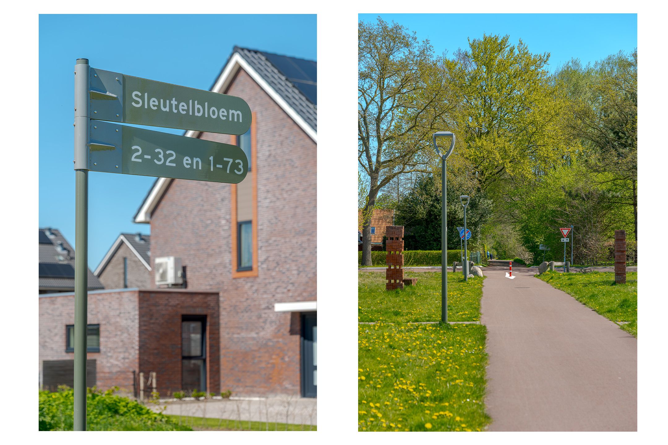 Photo 6 of Sleutelbloem 73