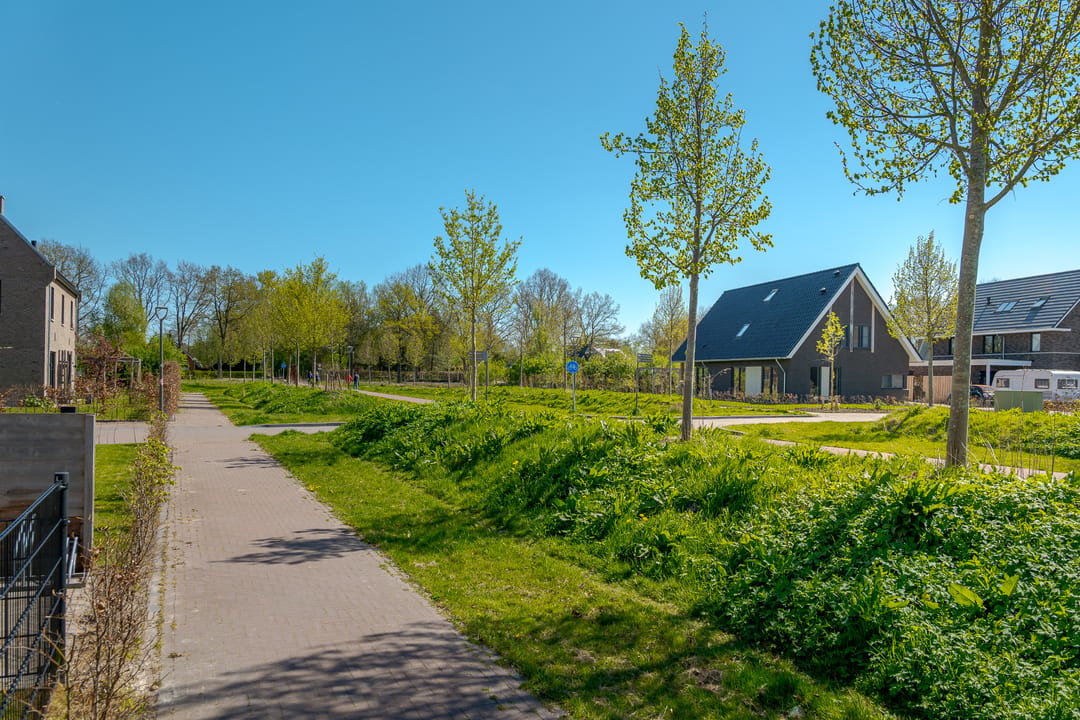 Photo 11 of Sleutelbloem 73