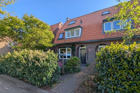 Van Campenstraat thumbnail