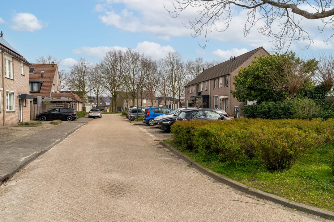 Photo 7 of Vecht 5