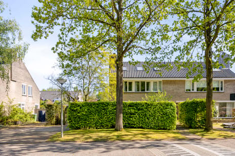 Esdoornlaan thumbnail