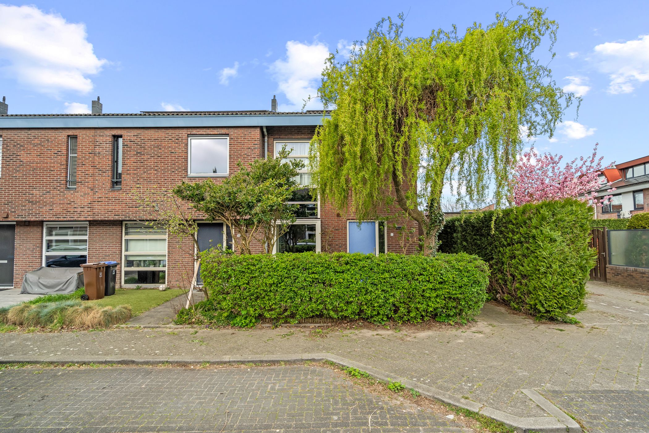 Foto 42 van Kruiswortel 1