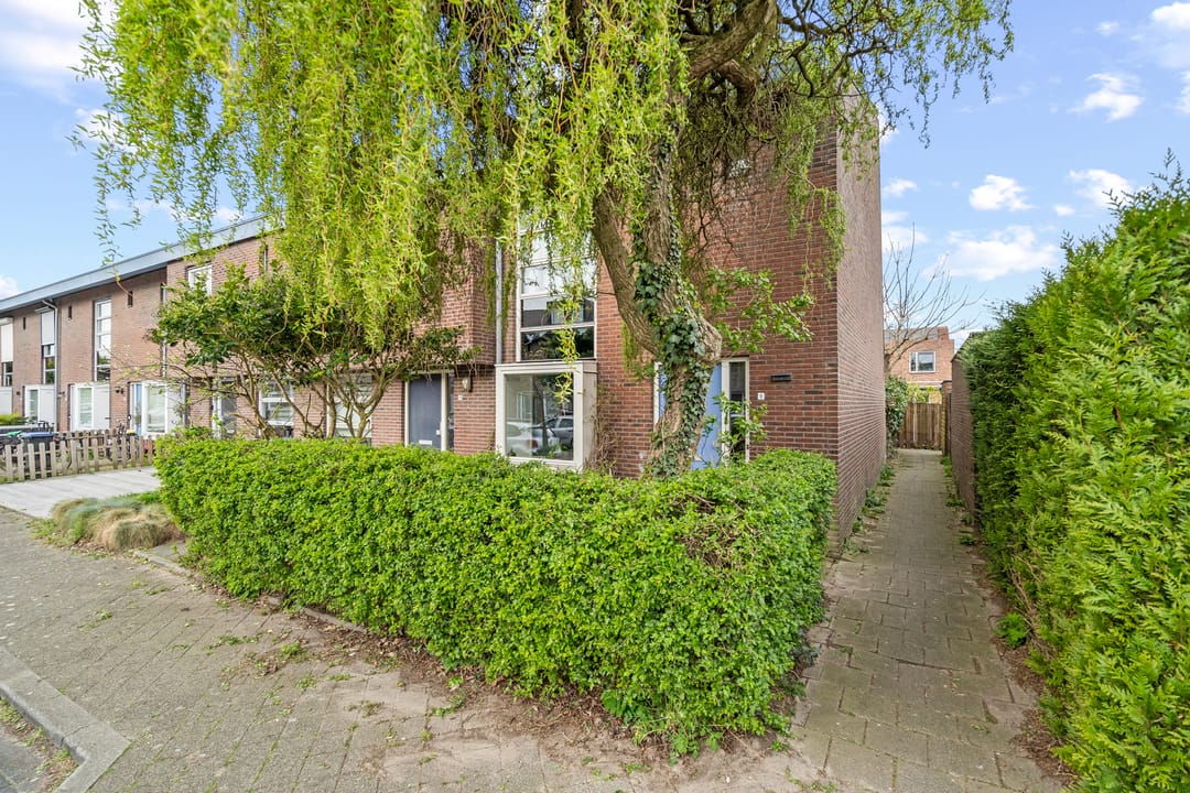 Foto 43 van Kruiswortel 1