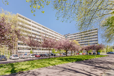 Pinksterbloemweg thumbnail