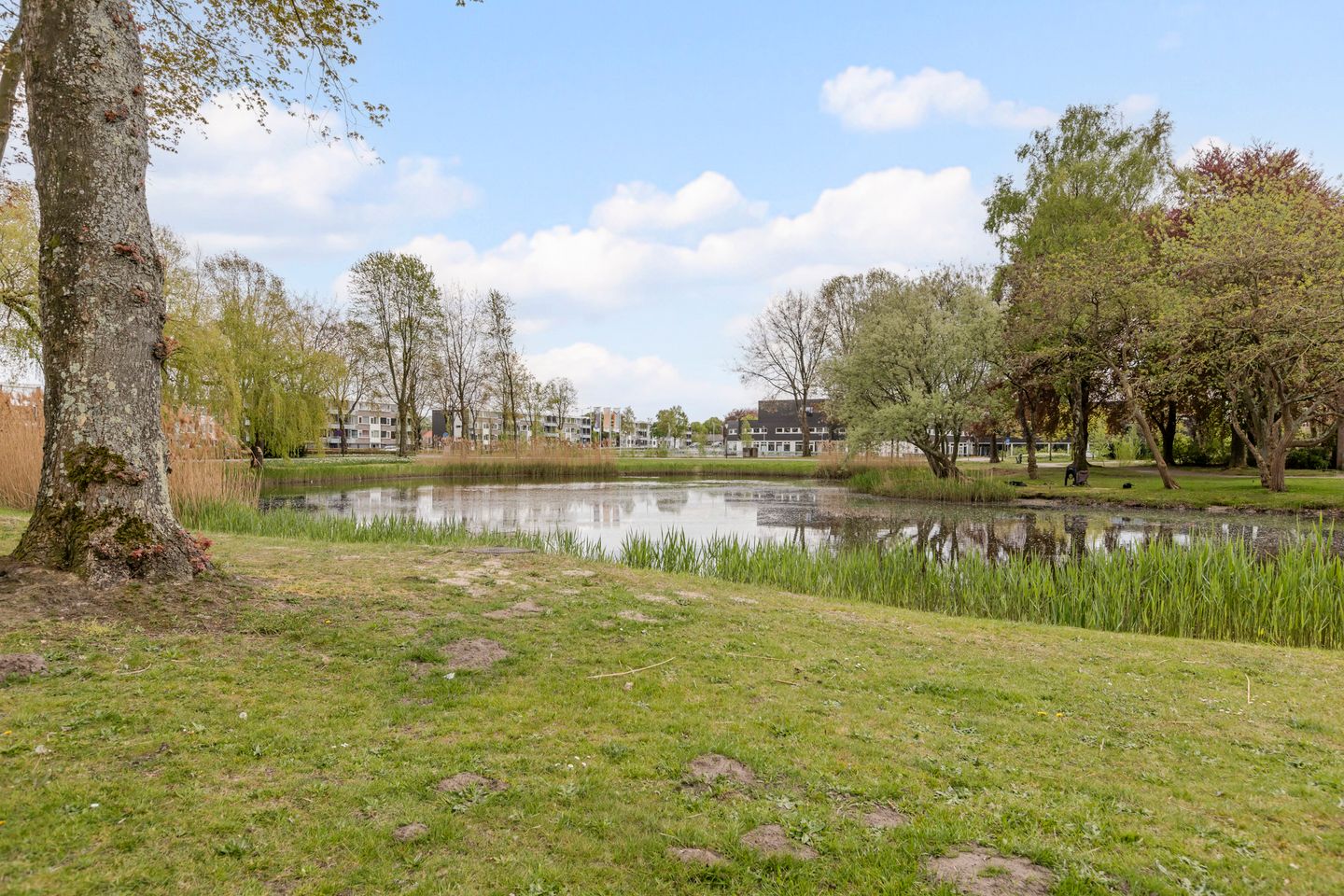 Foto 4 van Slotlaan 34