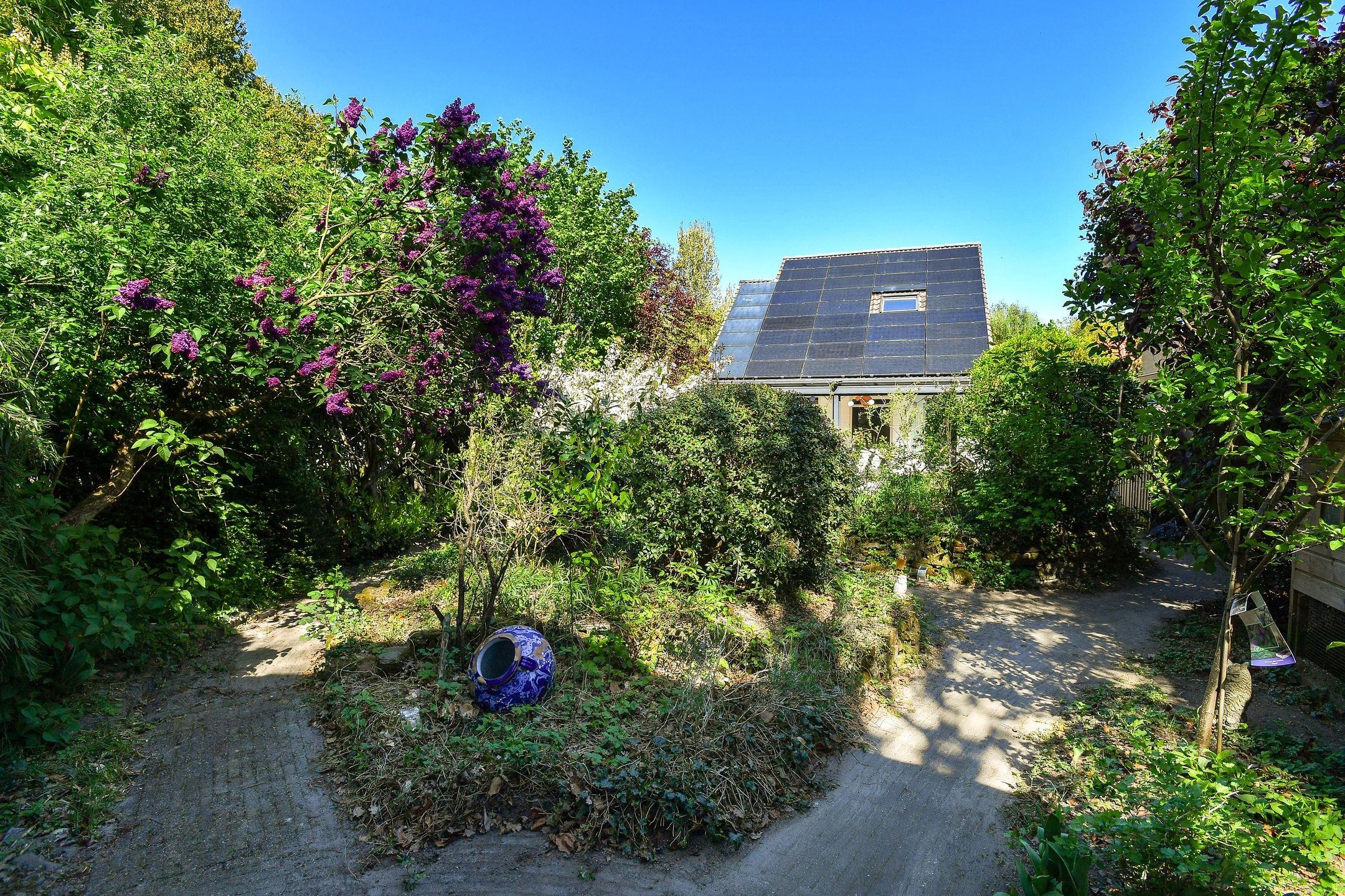 Photo 36 of Waldeck Pyrmontlaan 32
