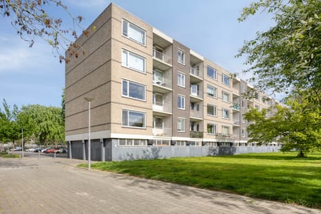 Ruygeplaat thumbnail