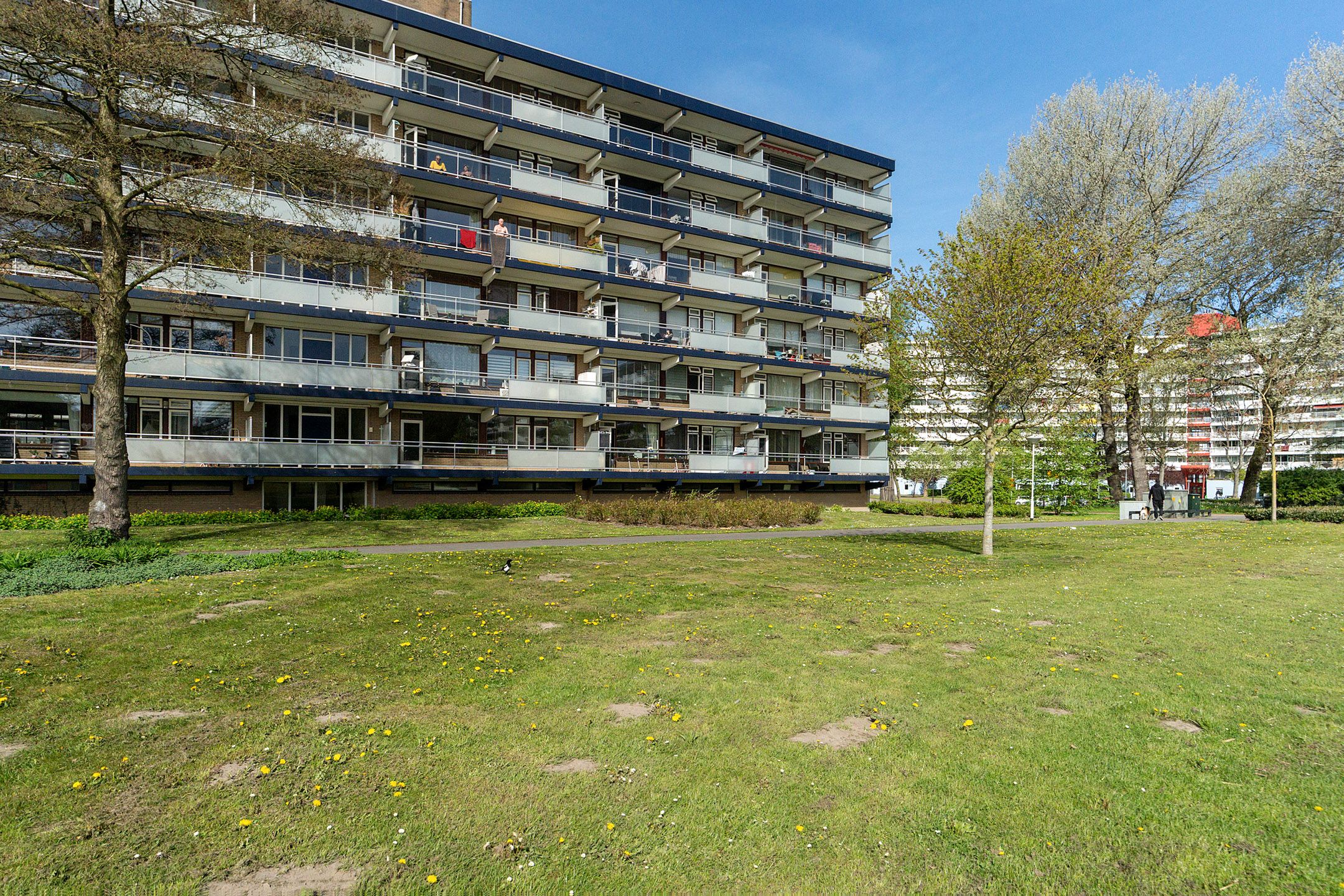 Photo 9 of Dunantstraat 390