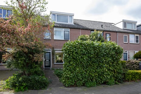 Jan de Beyerhof thumbnail