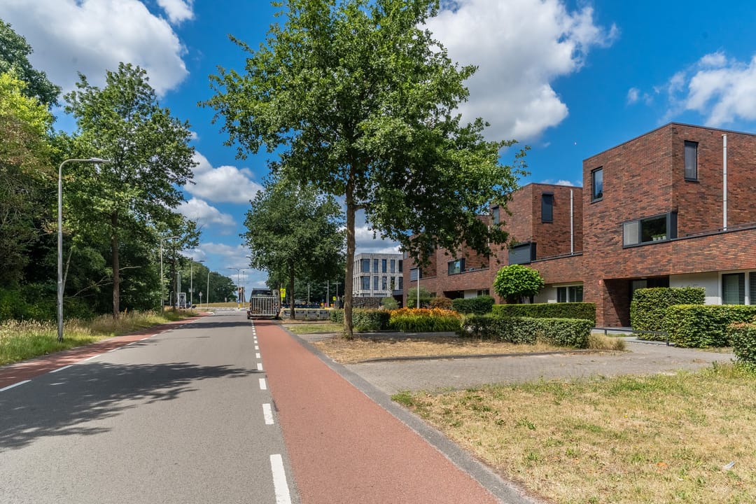 Foto 46 van Witbrantlaan West 115