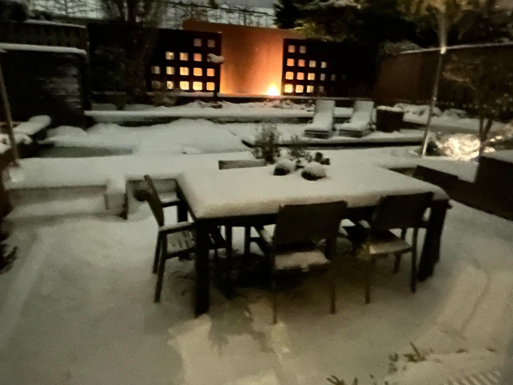 Foto 42 van Mosveld 1