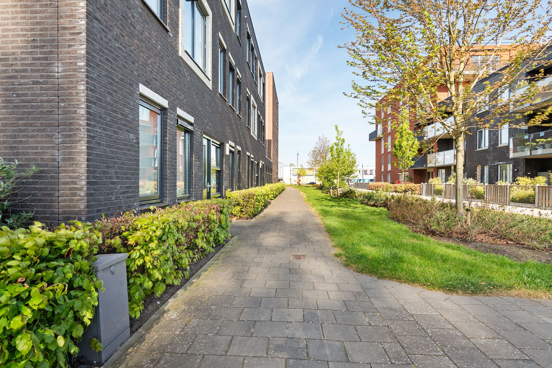Foto 6 van De Noord 66-D