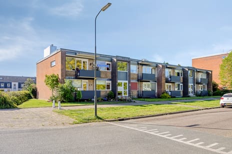 Moeflonstraat thumbnail