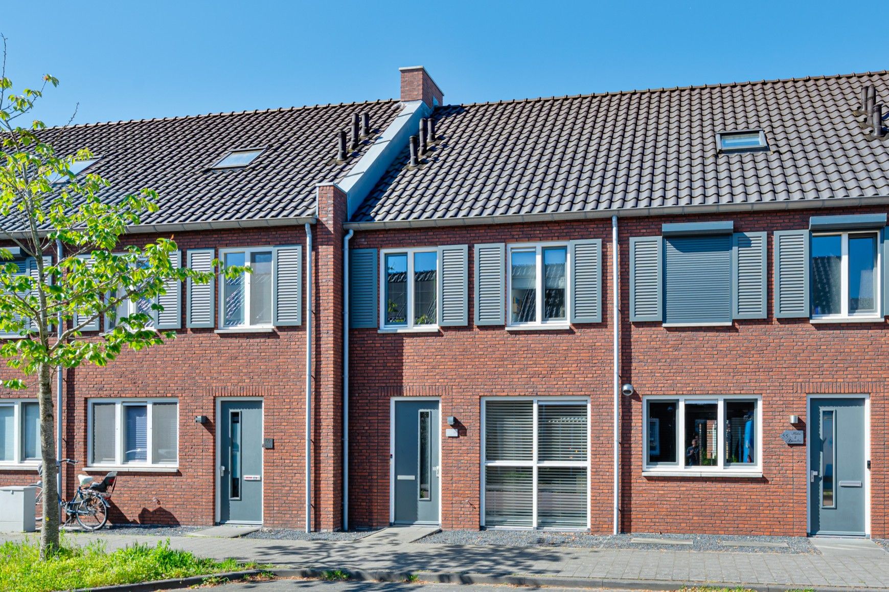 Schorpioen 57 