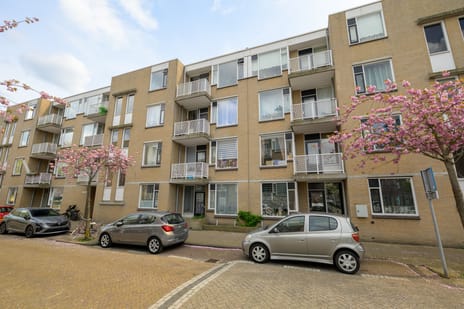 Van Leeuwenhoekstraat thumbnail